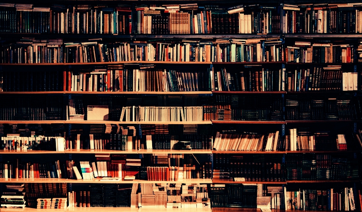 What is the Scope of Literature?