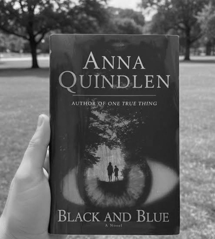 Analysis of Black and Blue || Anna Quindlen