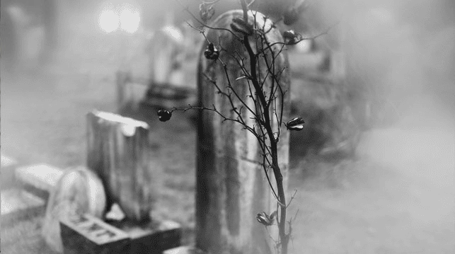 Literature as the mirror of life (explained)